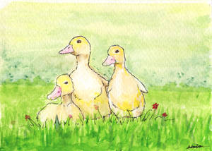 Ducklings