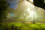 Park, Foggy Winter Night by patrick-brian