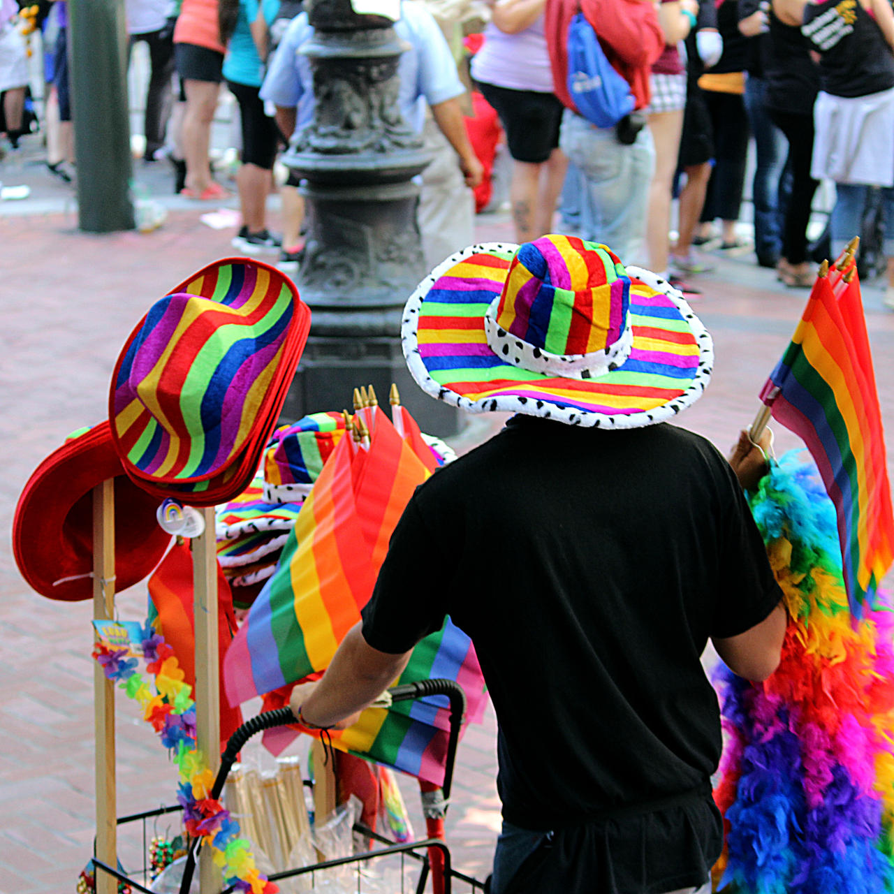 San Francisco Pride Festival IV