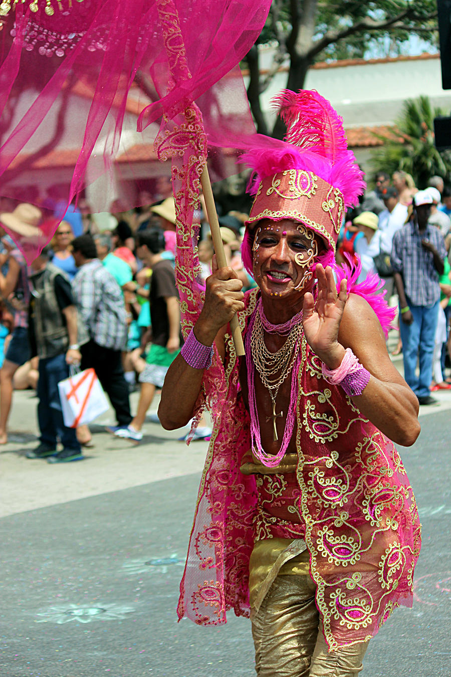 Santa Barbara Solstice Parade XV