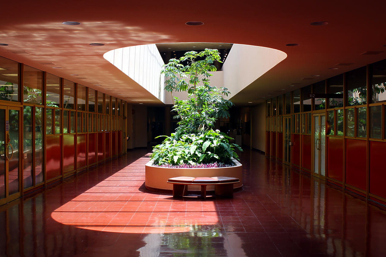 Marin County Civic Center II