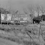 Abandoned Sinclair Gas Station III