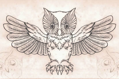 Little Owl Sketch