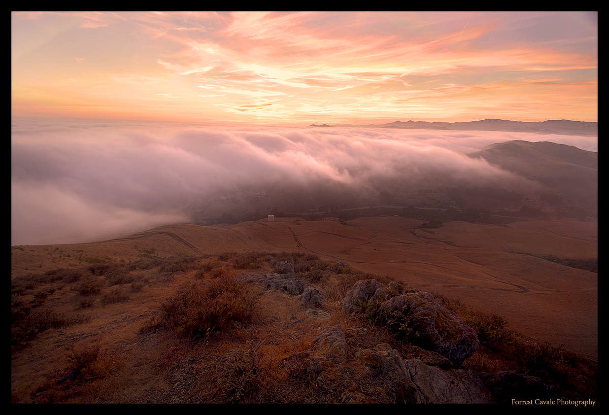 Marine Layer