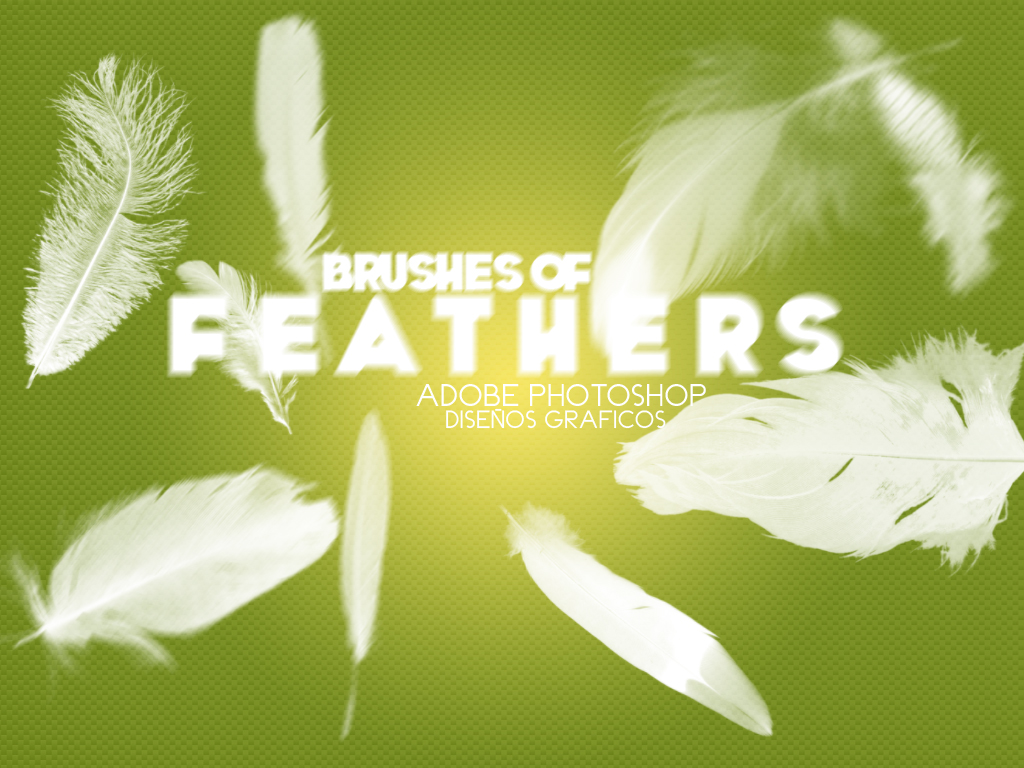 Feathers