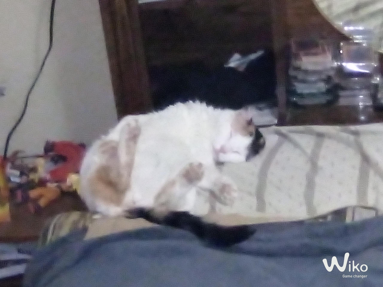 One Last Cat Pic by RemirTheShadow on DeviantArt