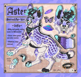 Lilac serval adopt auction