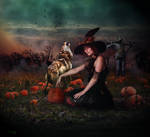 The pick of the patch by robhas1left