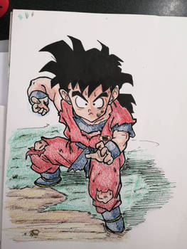 kid gohan