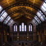 The Natural History Museum