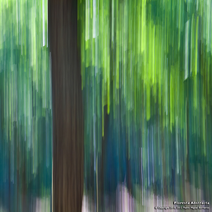 Floresta Abstracta