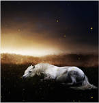 Fireflies by xxCHARLiE