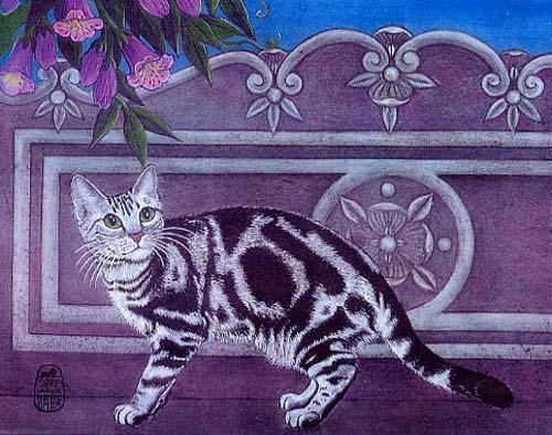 tabby swirl cat by wanderra on DeviantArt
