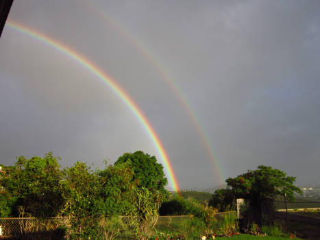 Another Double Rainbow