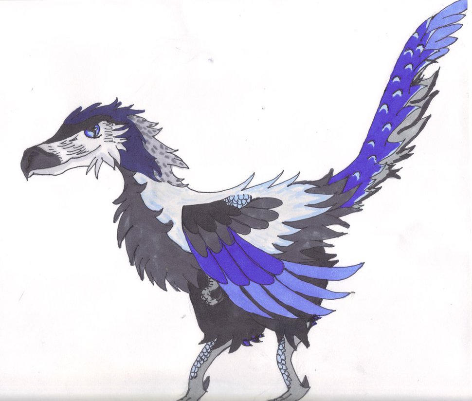 Bashful Raptor Request Raptor by AaliyahBenz on DeviantArt