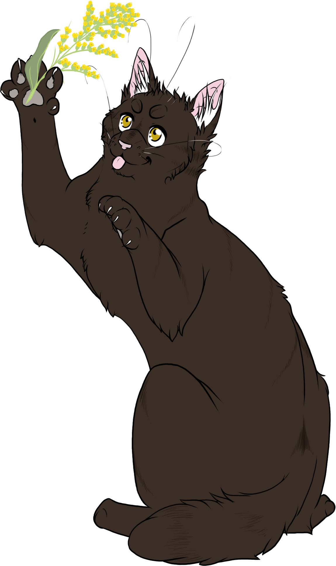 Warrior Cats #013 - Barkface