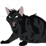 Warrior Cats #030 - Darkstripe