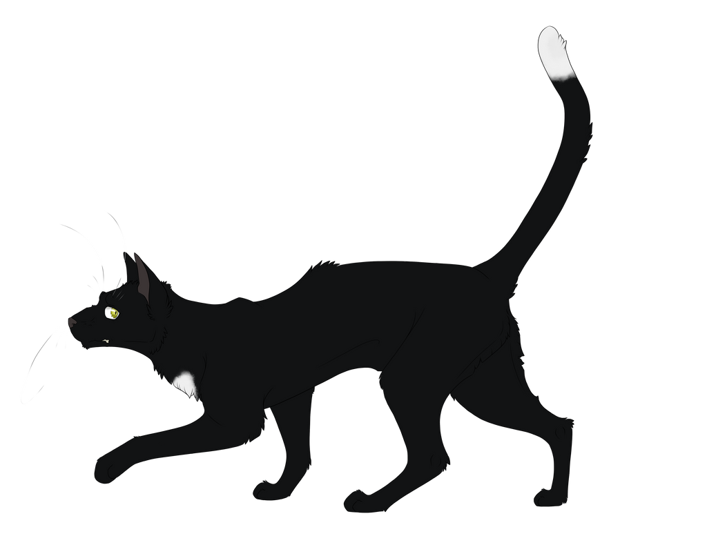 Warrior Cats #057 - Ravenpaw by Kuroi-Hitsuji on DeviantArt