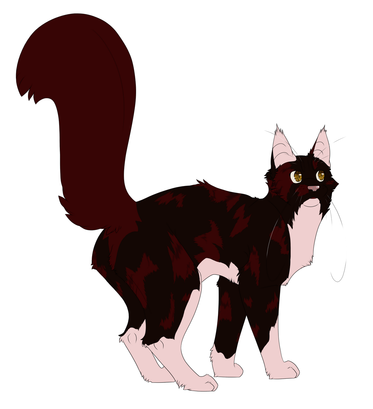 Warrior Cats 073 Redtail by KuroiHitsuji on DeviantArt