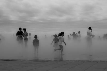 Kids in the Mist