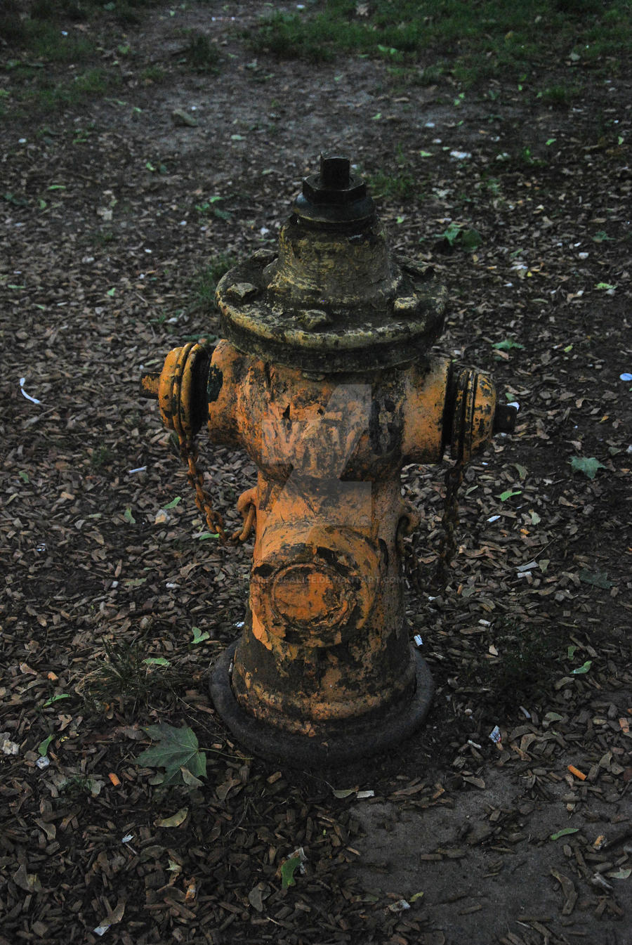 Dirty hydrant