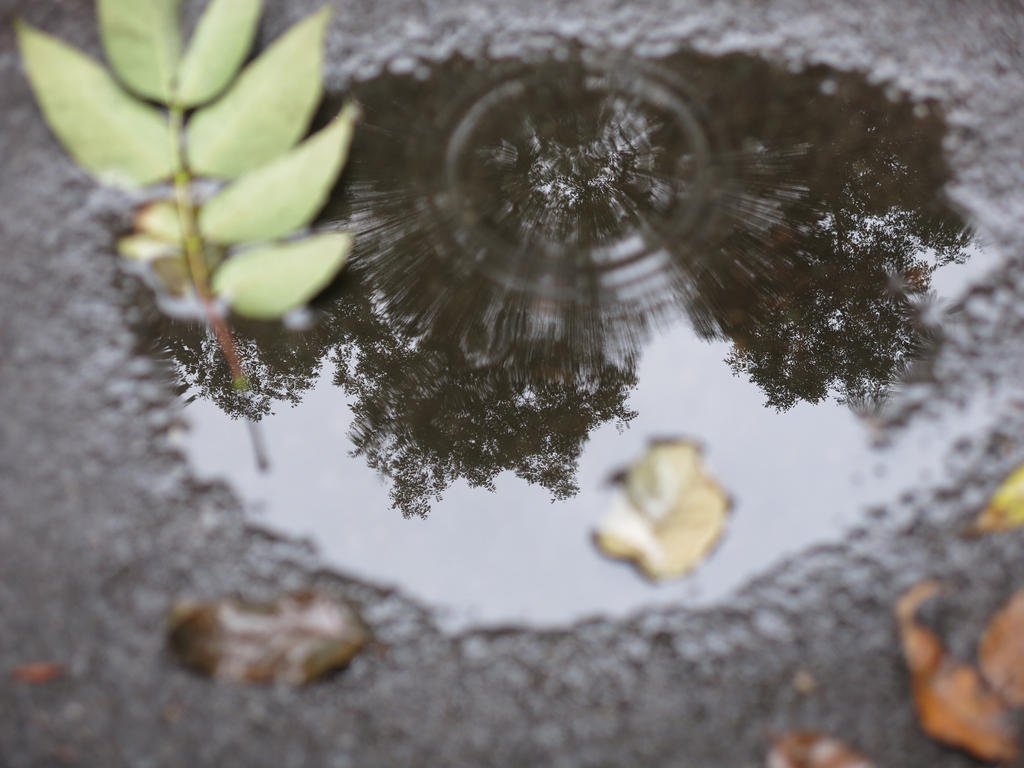 Ripples In A Small Puddle by MegnRox15 on DeviantArt
