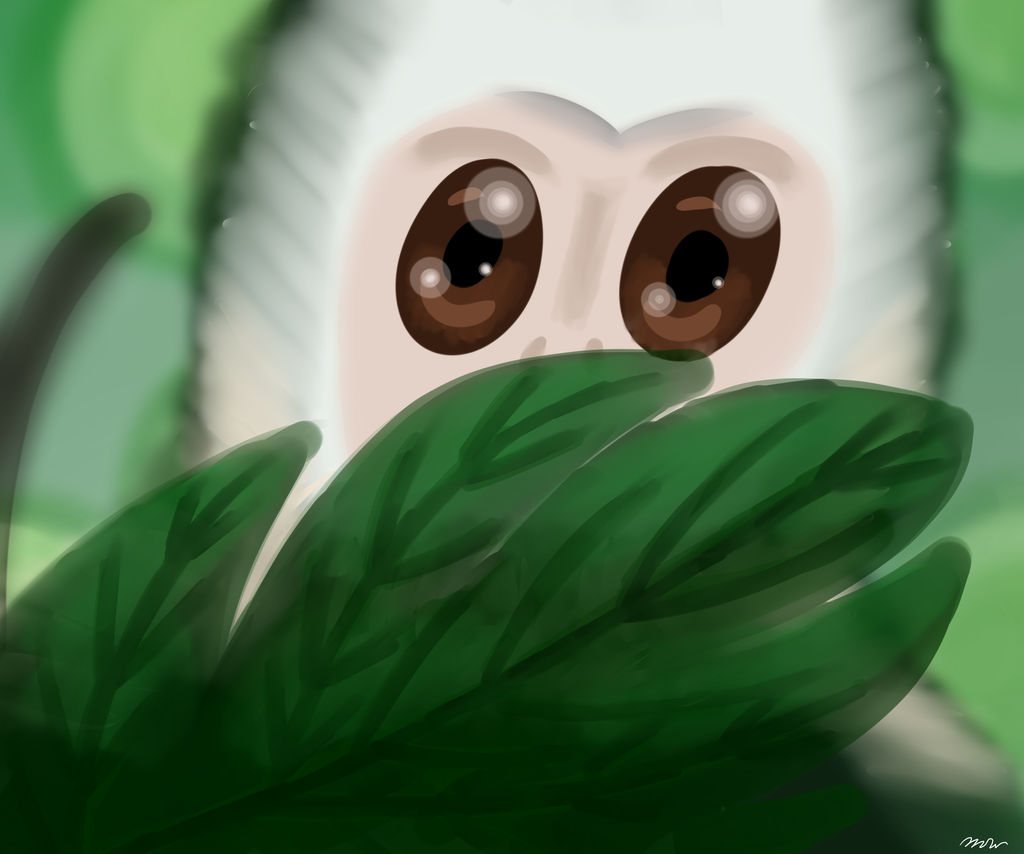 Monkey by MegnRox15 on DeviantArt