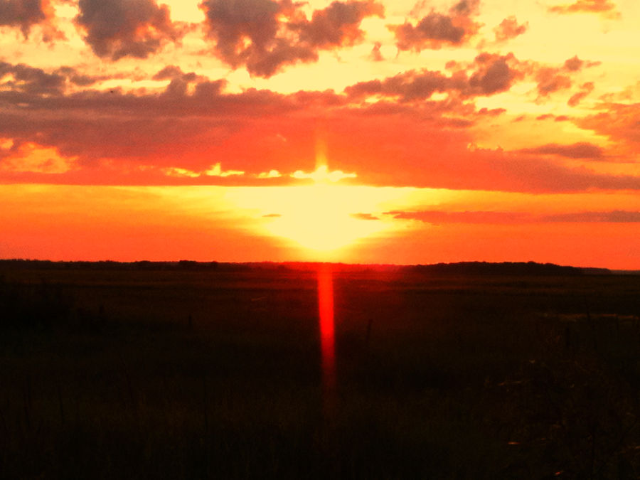 Sun Risiong Sun Rising by HowardPhotographics on DeviantArt