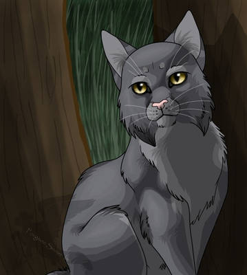 Graystripe