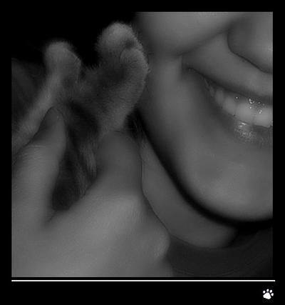 kedi patisi by kedipatisii on deviantart