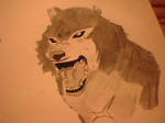 tsume wolf rain by akato-kang