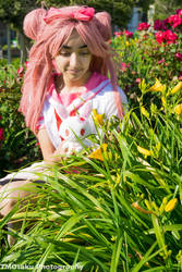 AnimeNext 2017 - Lady Momona Admiring the Flowers