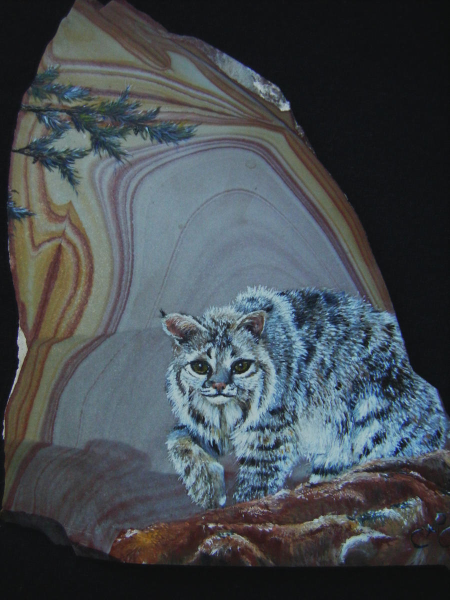Out of Stone: Bobcat
