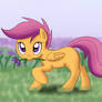 Scootaloo Flower For You!