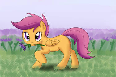 Scootaloo Flower For You!