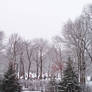 Blanket of Snow