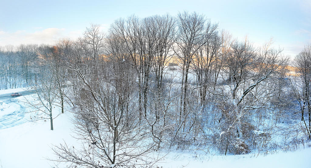 Mud Creek Winter