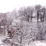 Winter's Coat 2