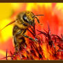 In flames