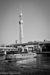 Tokyo Sky Tree