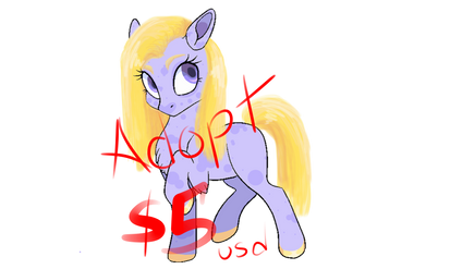 PayPal Pony Adoptable