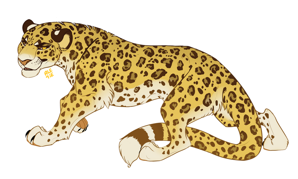 Image result for leopardess art