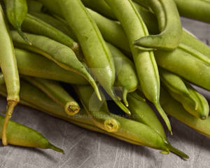 Snap beans