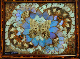 Vintage Butterfly Tray