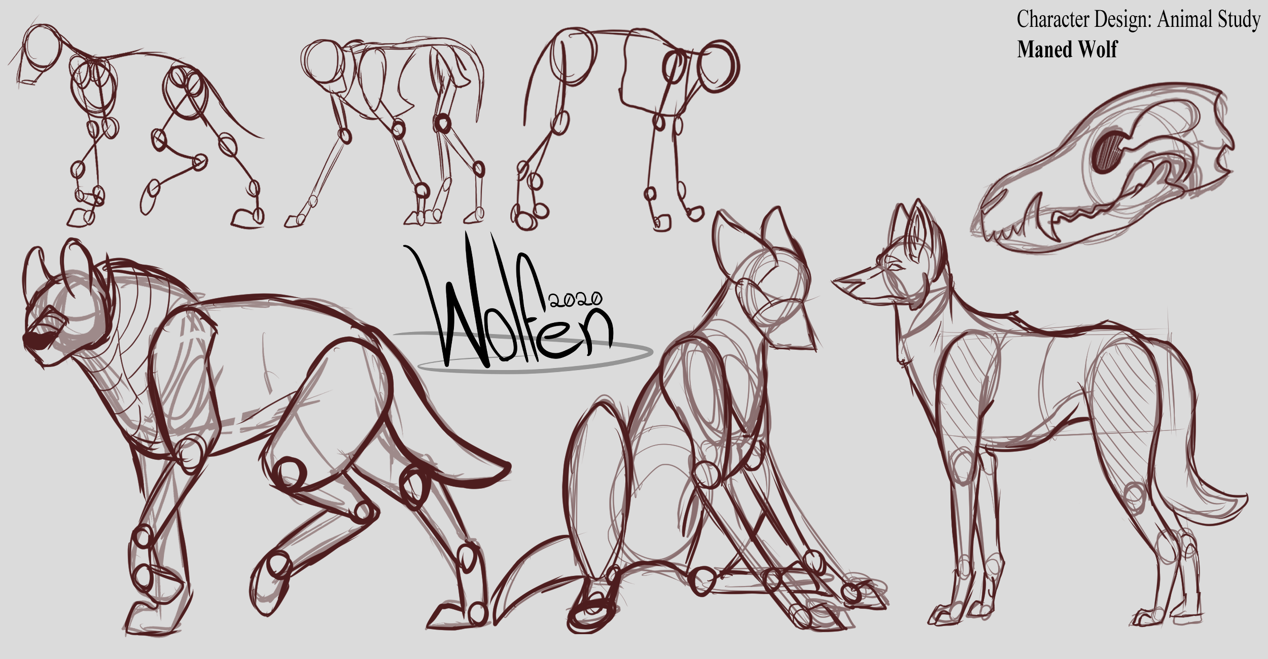 Animal Study - Maned Wolf by Dorky-Wolfen on DeviantArt Animal Study - Maned Wolf by Dorky-Wolfen on DeviantArt
