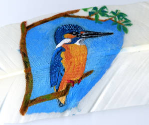 Common kingfisher - Closeup