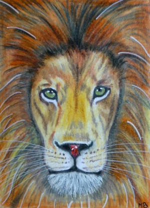 Lion 2 (ACEO) by Actlikenaturedoes