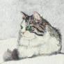 Snow Cats-No.2 (ACEO)
