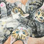 Three tabby babies-ACEO