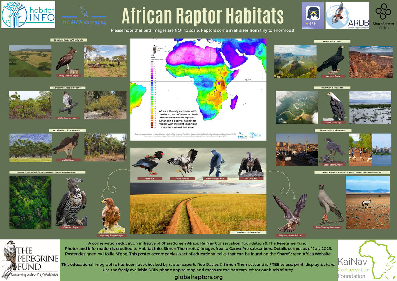 Afro Raptor African Raptor Habitats - High Res by ConservationEducator on DeviantArt